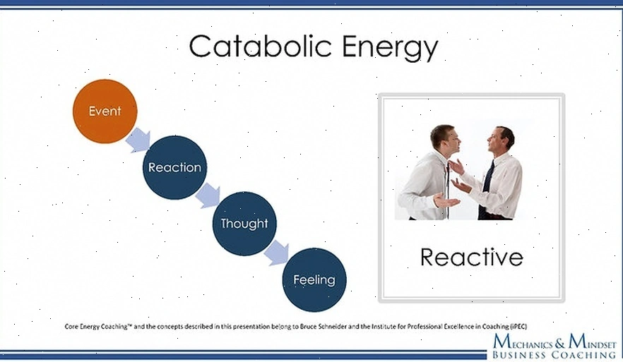 energy management business coaching